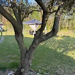 Casa Della Lupa Feriehus San Leonardo Valcellina