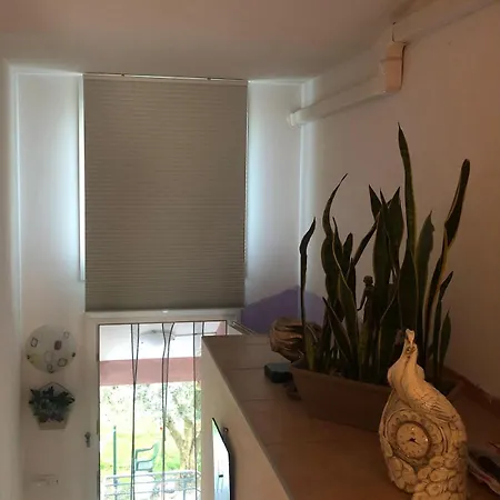 Casa Della Lupa * San Leonardo Valcellina