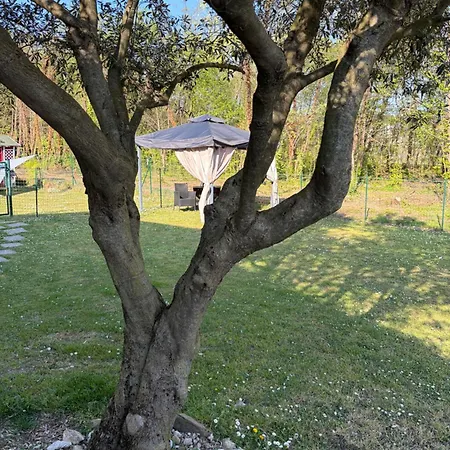 Casa Della Lupa Feriehus San Leonardo Valcellina